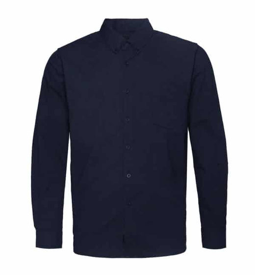 Button Down Shirt